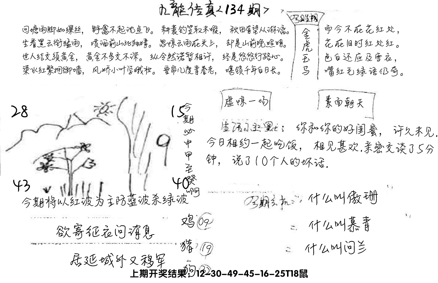 图片加载中