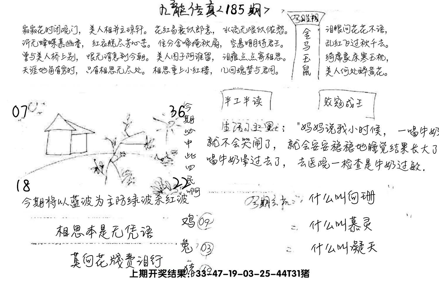 图片加载中