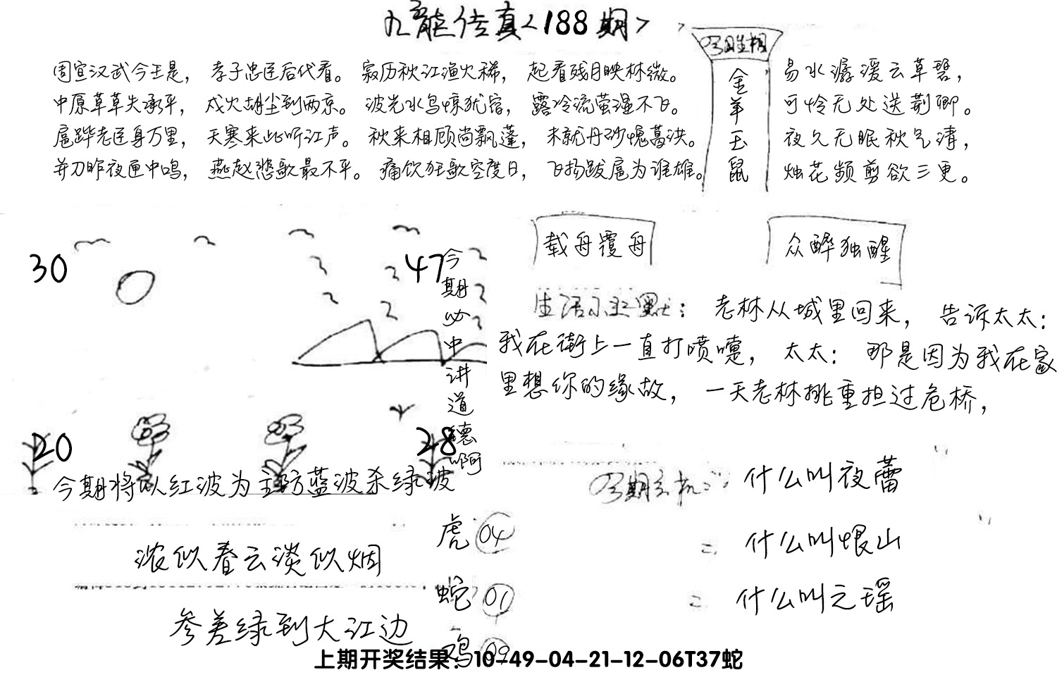 图片加载中