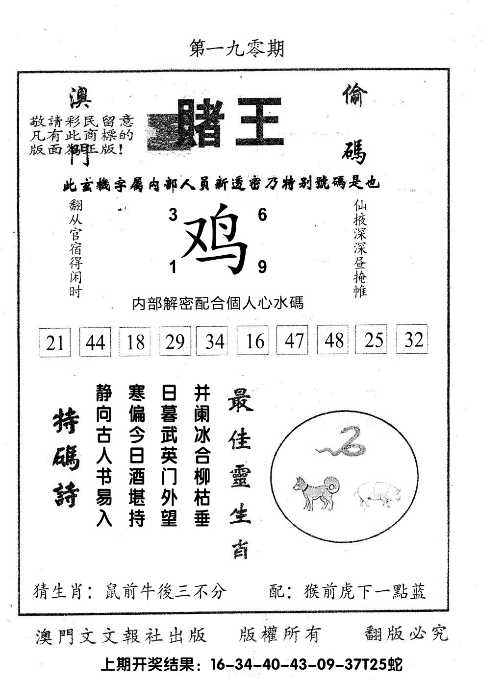 图片加载中