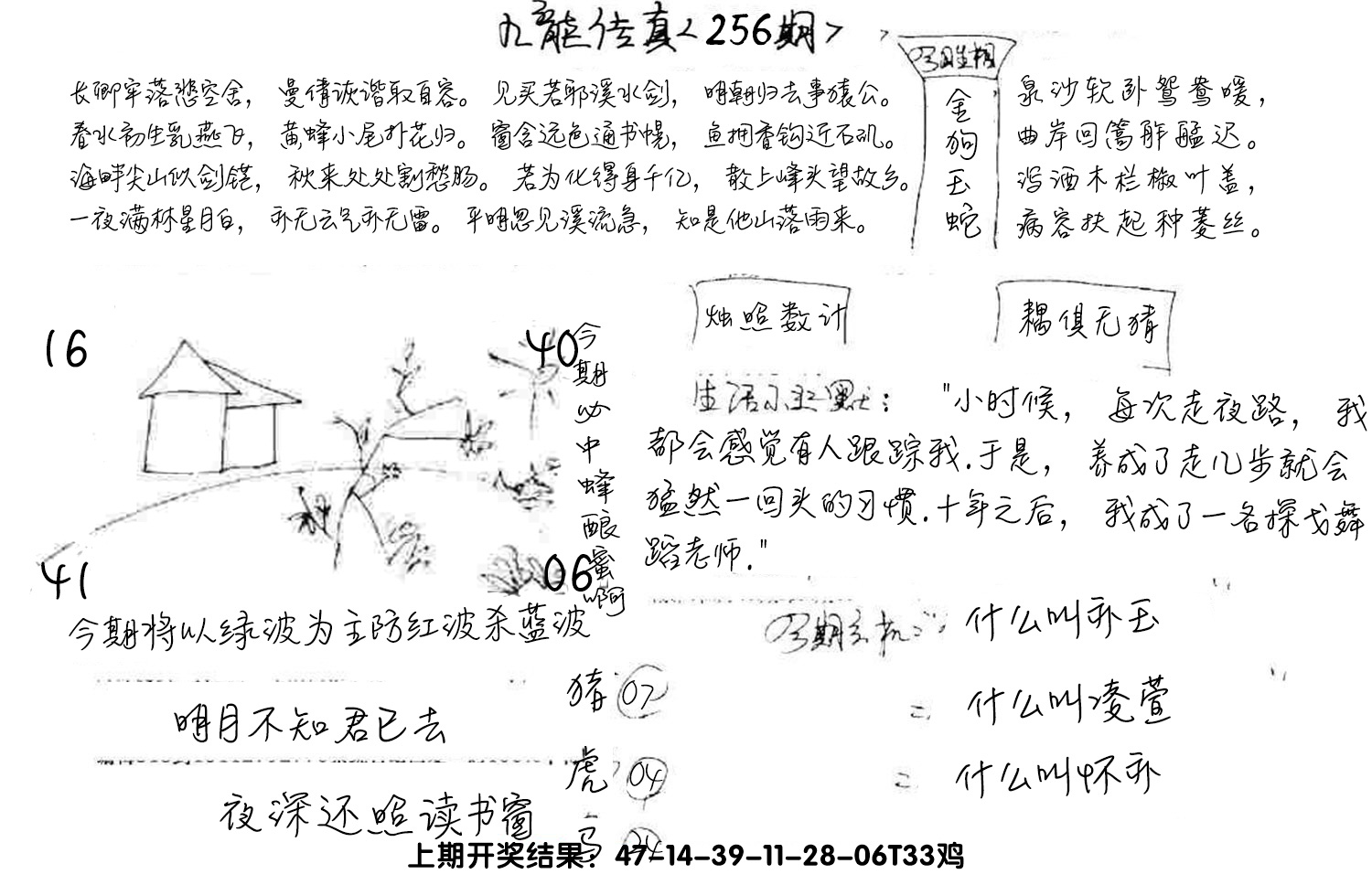 图片加载中