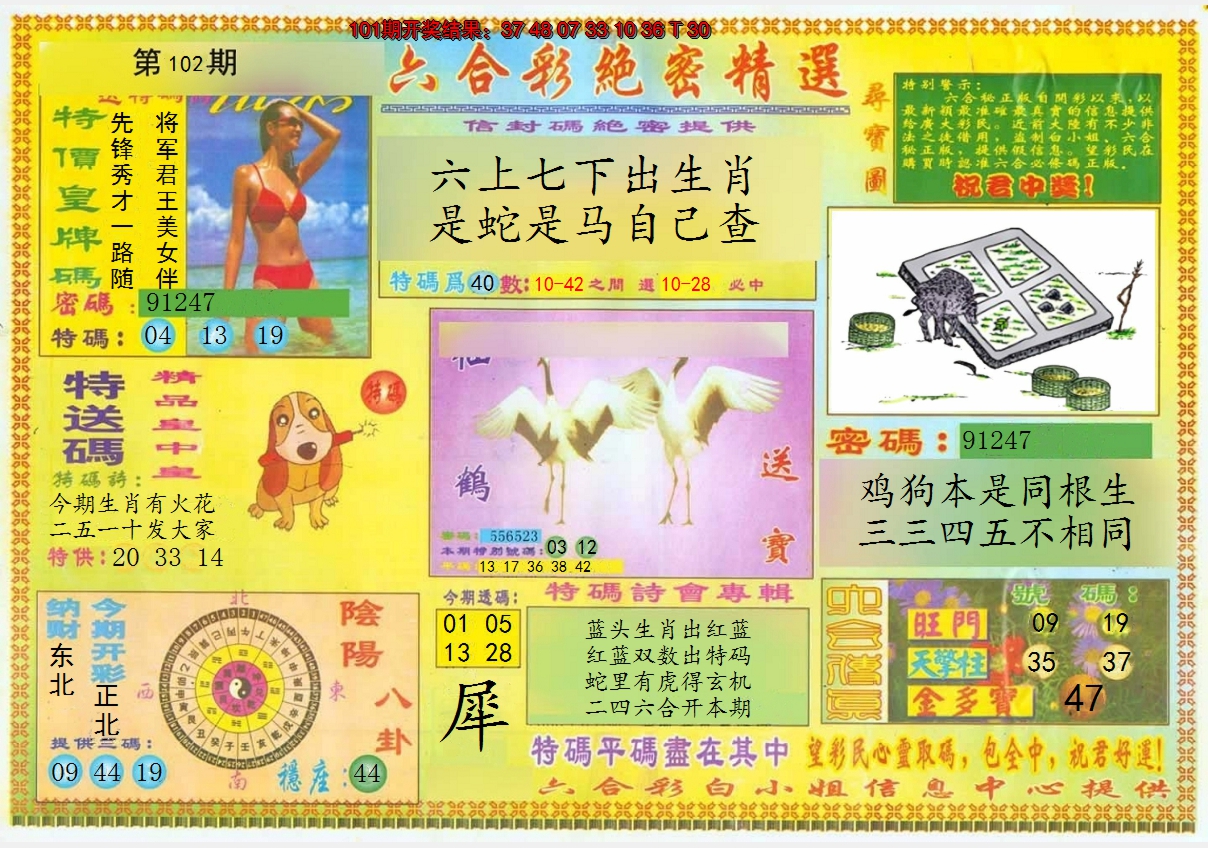 图片加载中