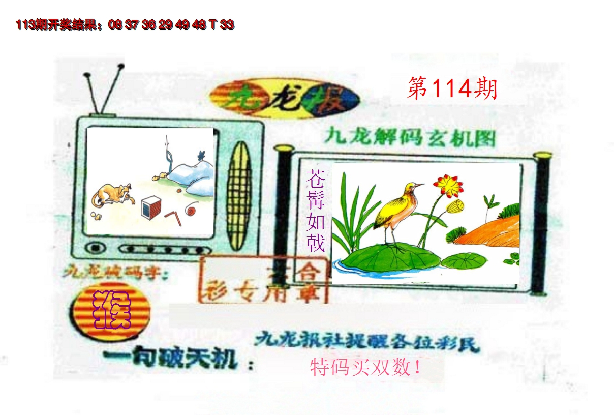 图片加载中