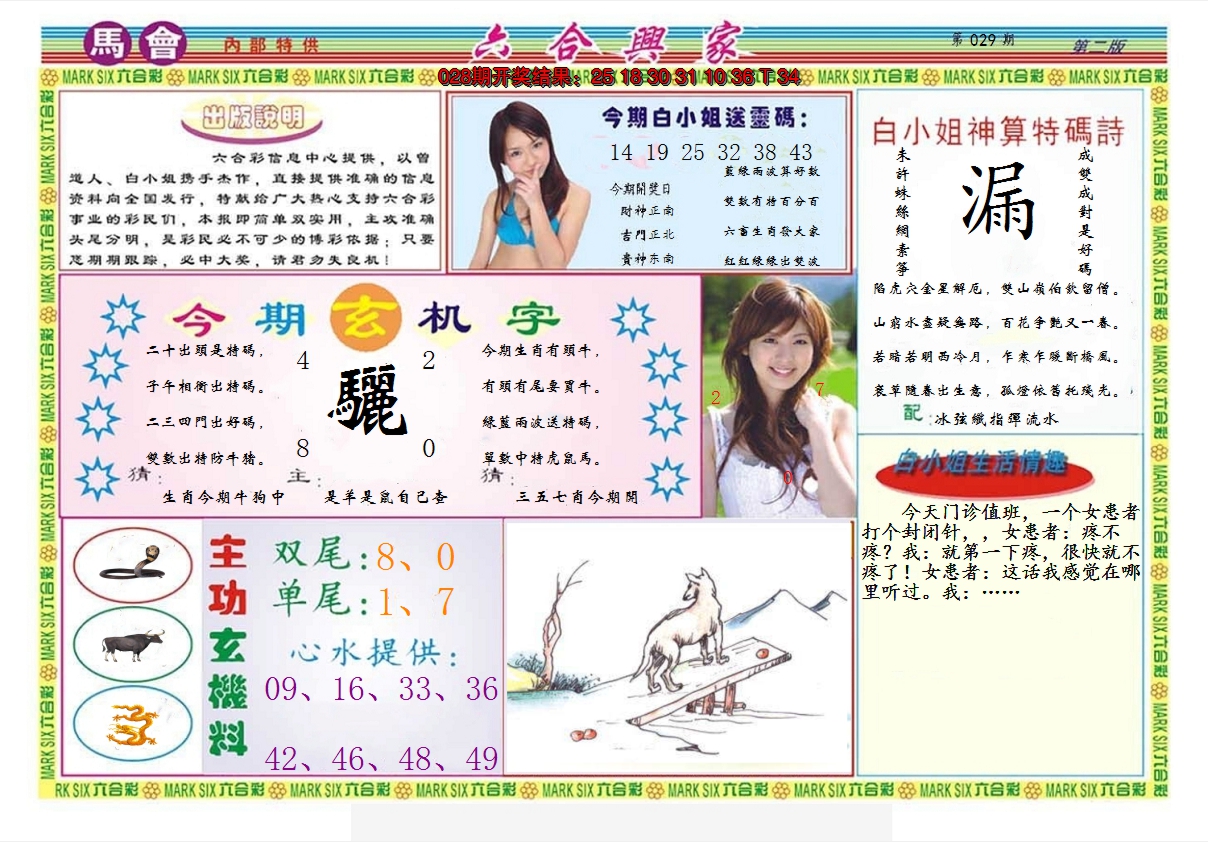 图片加载中