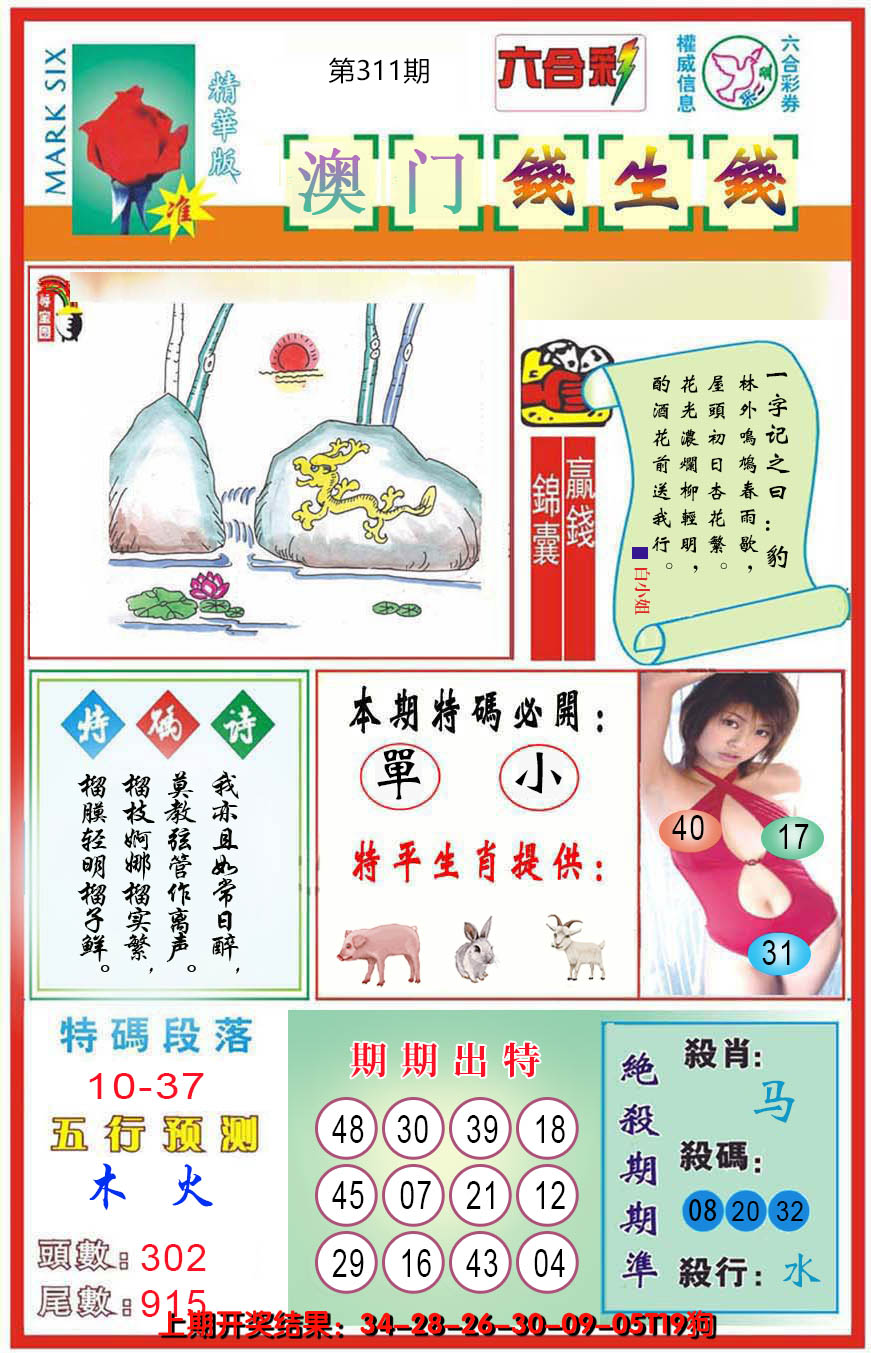 图片加载中