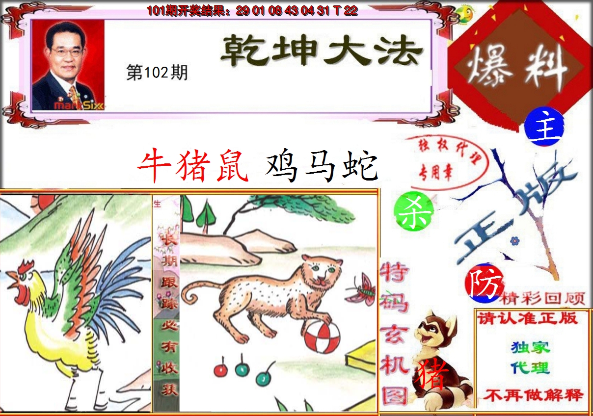 图片加载中