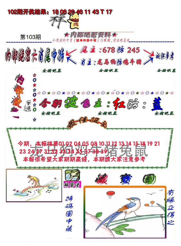 图片加载中