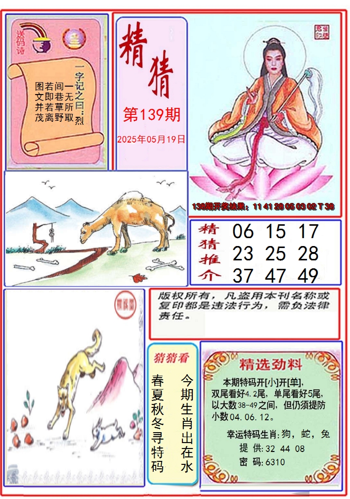 图片加载中