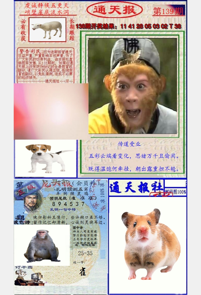 图片加载中