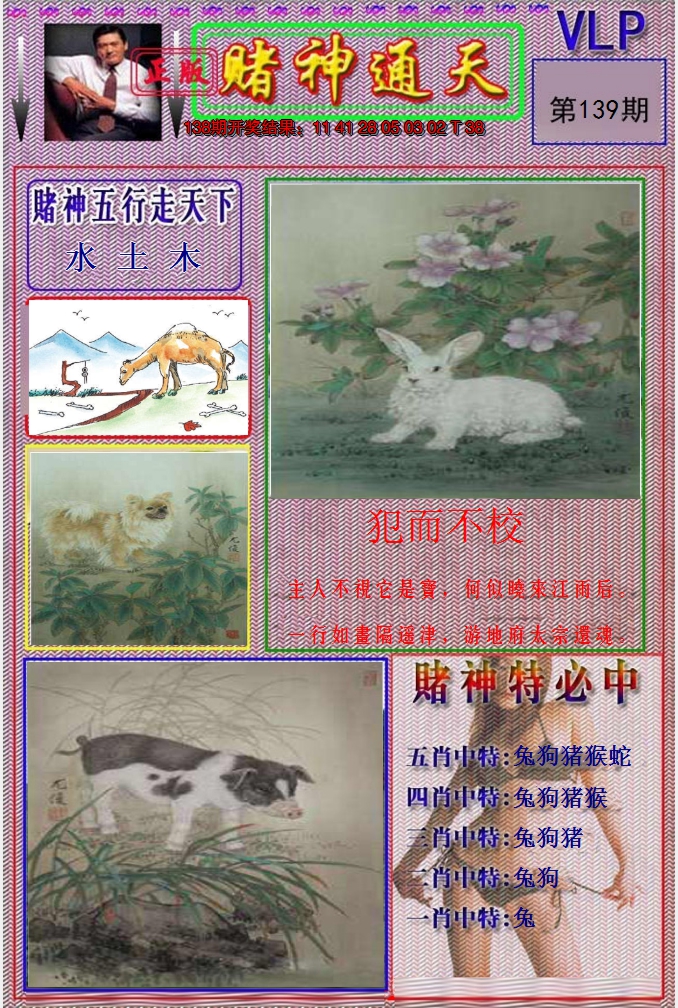 图片加载中