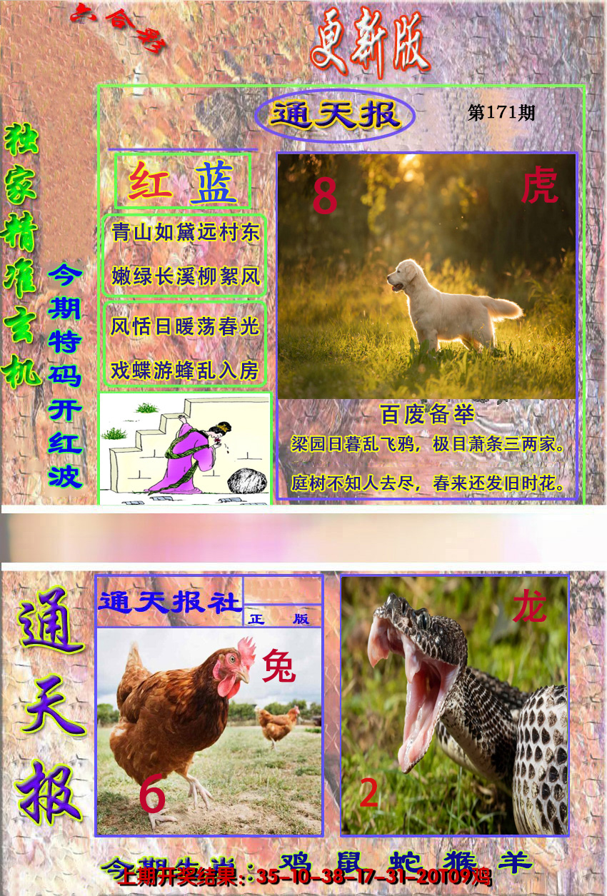 图片加载中