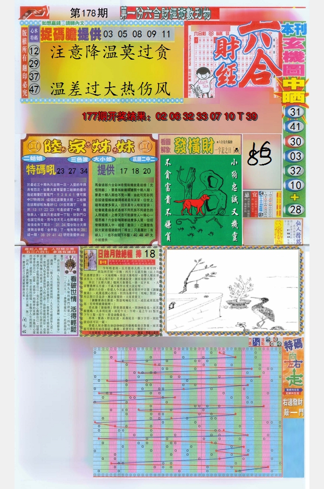图片加载中