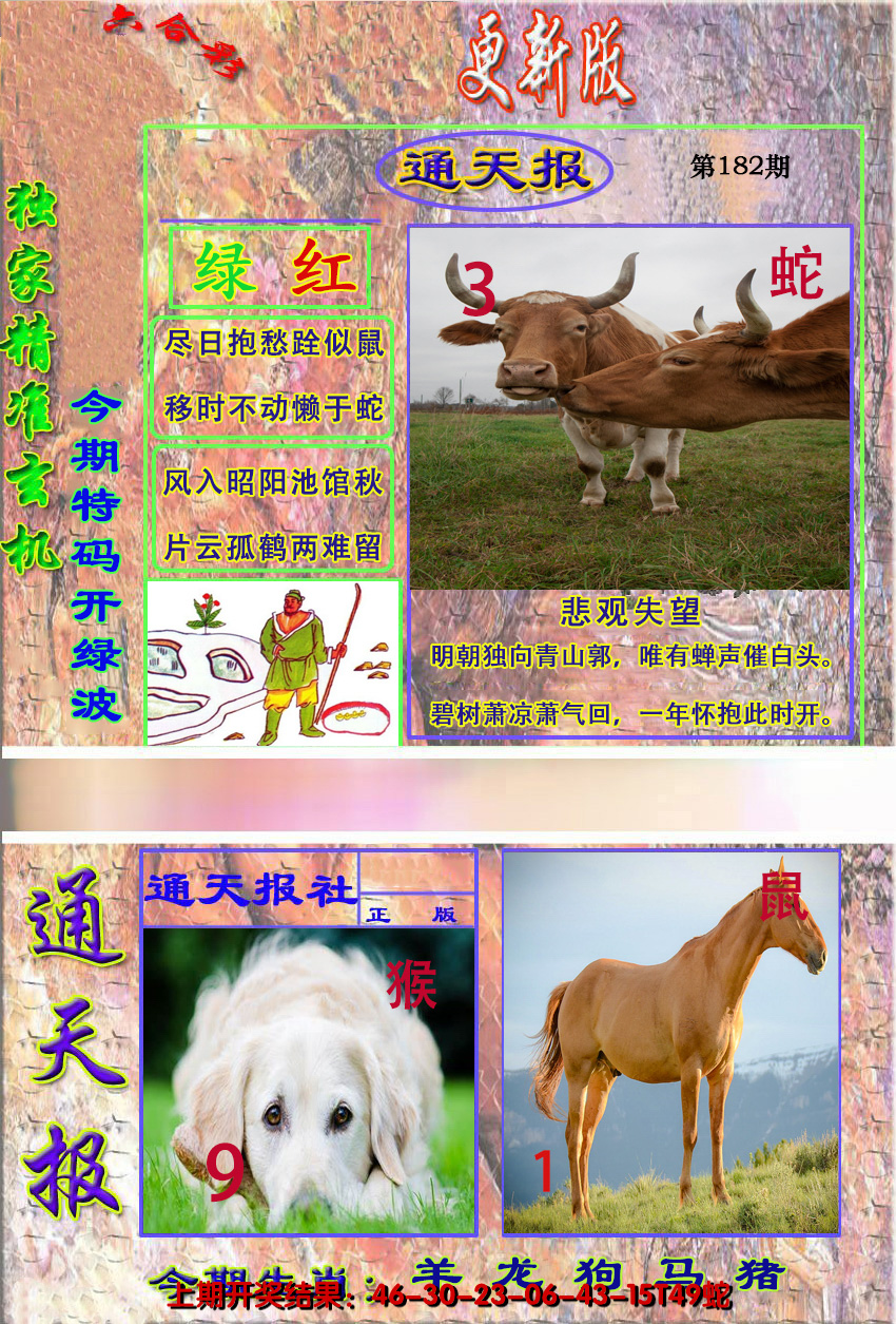 图片加载中