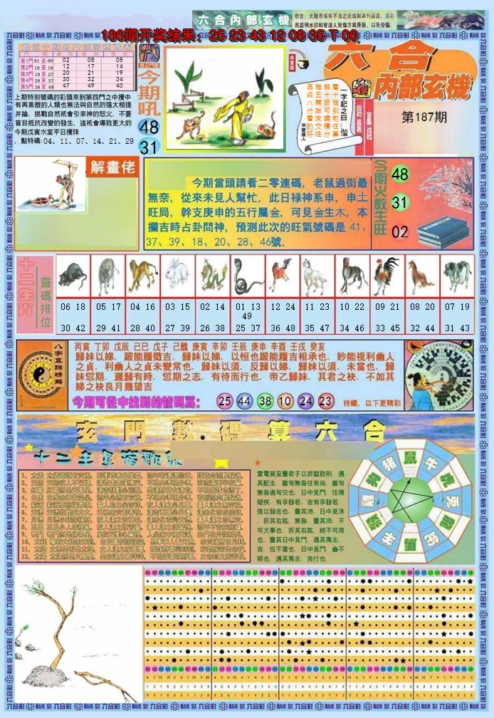 图片加载中