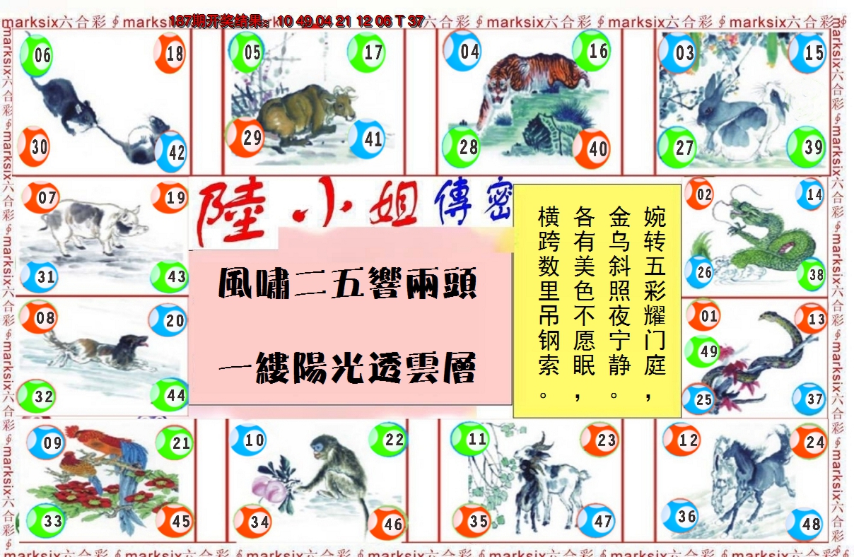图片加载中