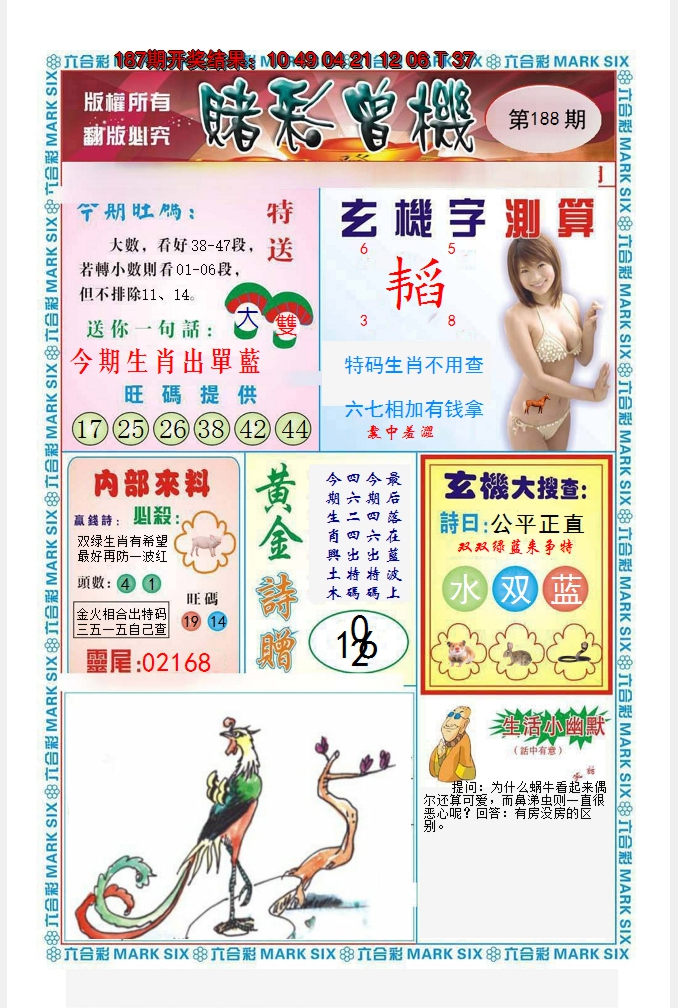 图片加载中