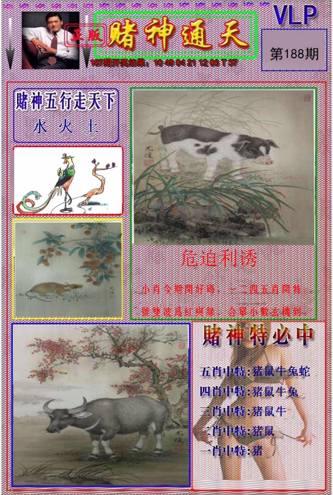 图片加载中