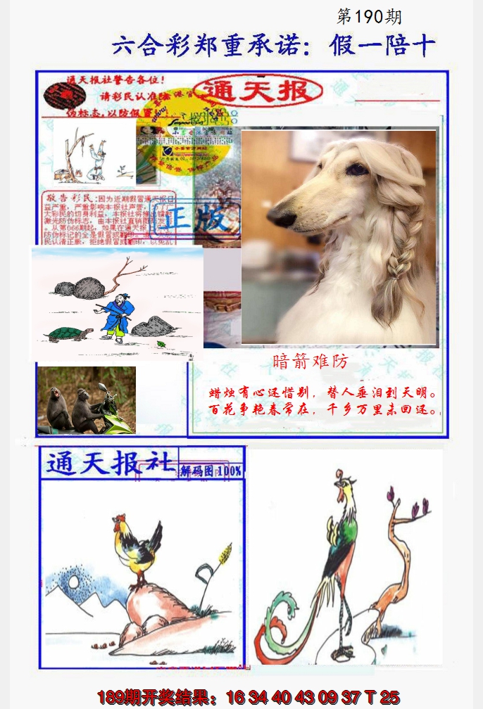 图片加载中