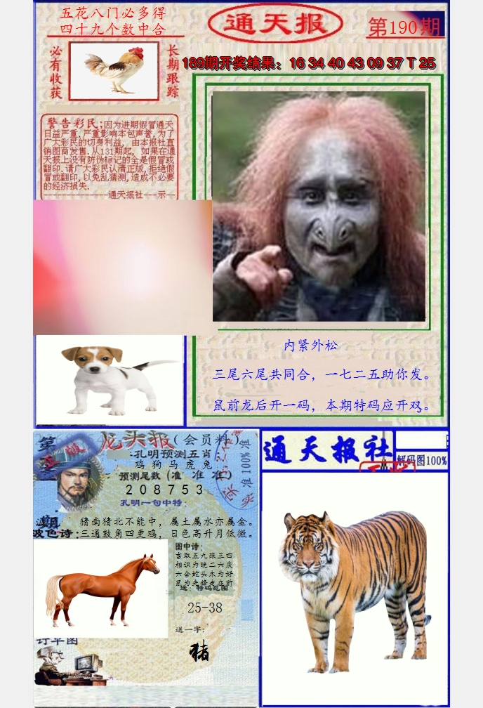 图片加载中