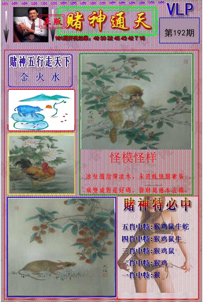 图片加载中