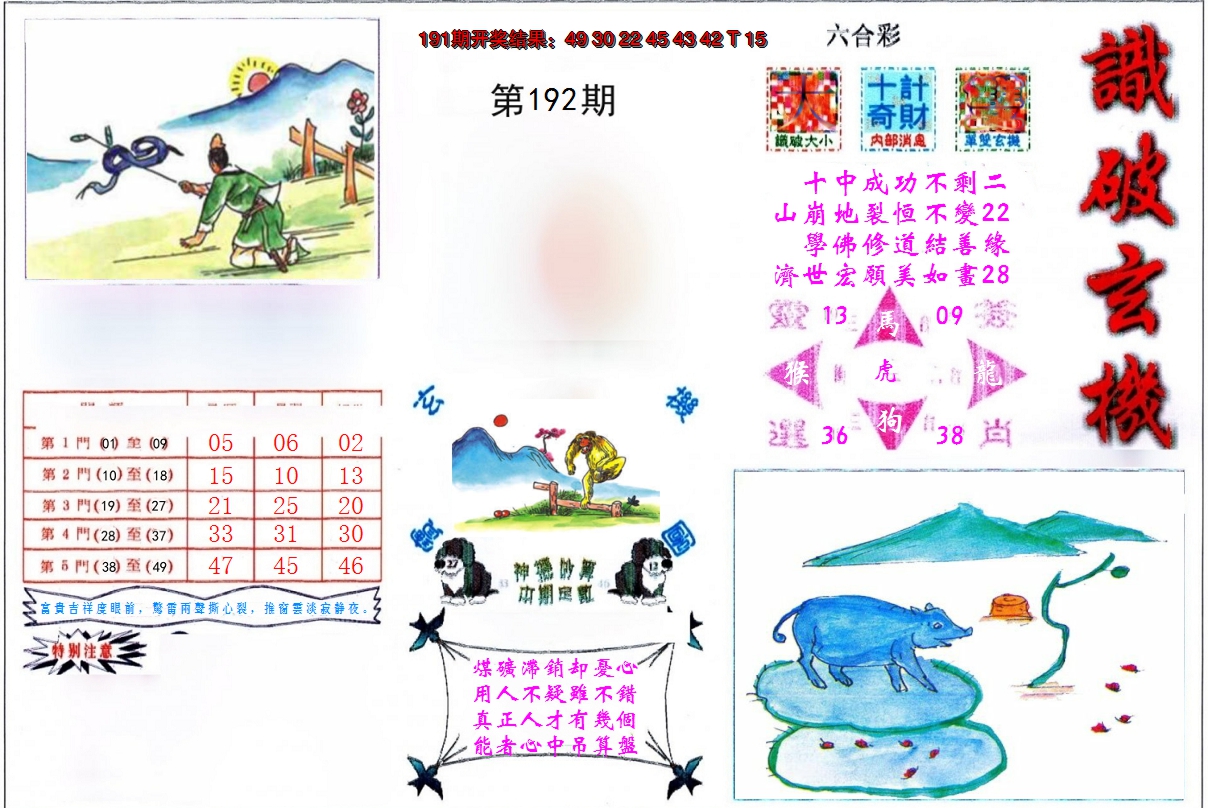 图片加载中