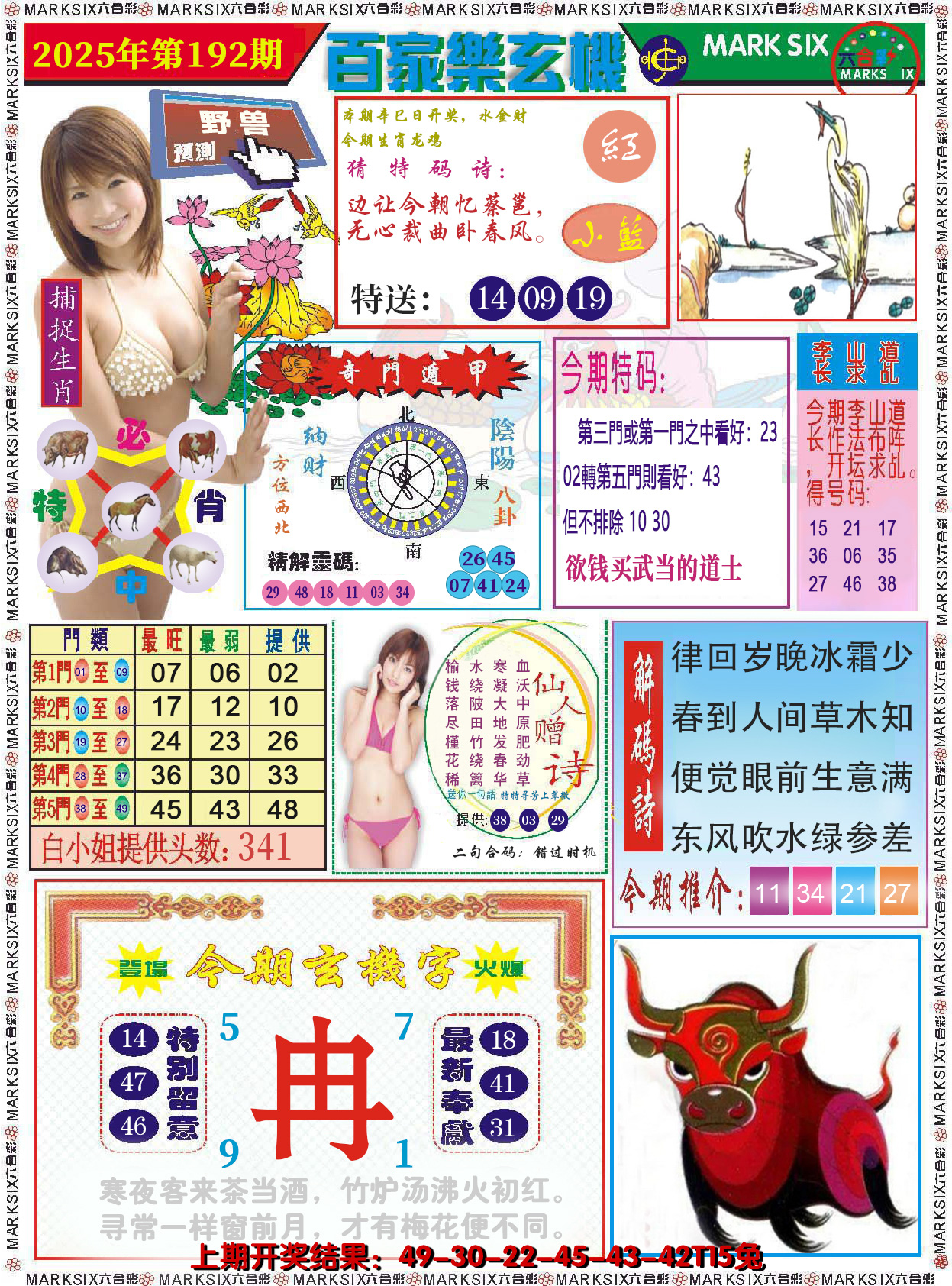 图片加载中