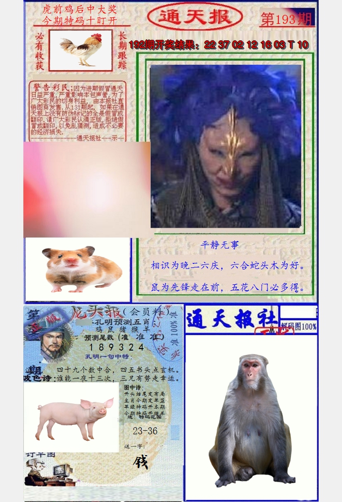 图片加载中
