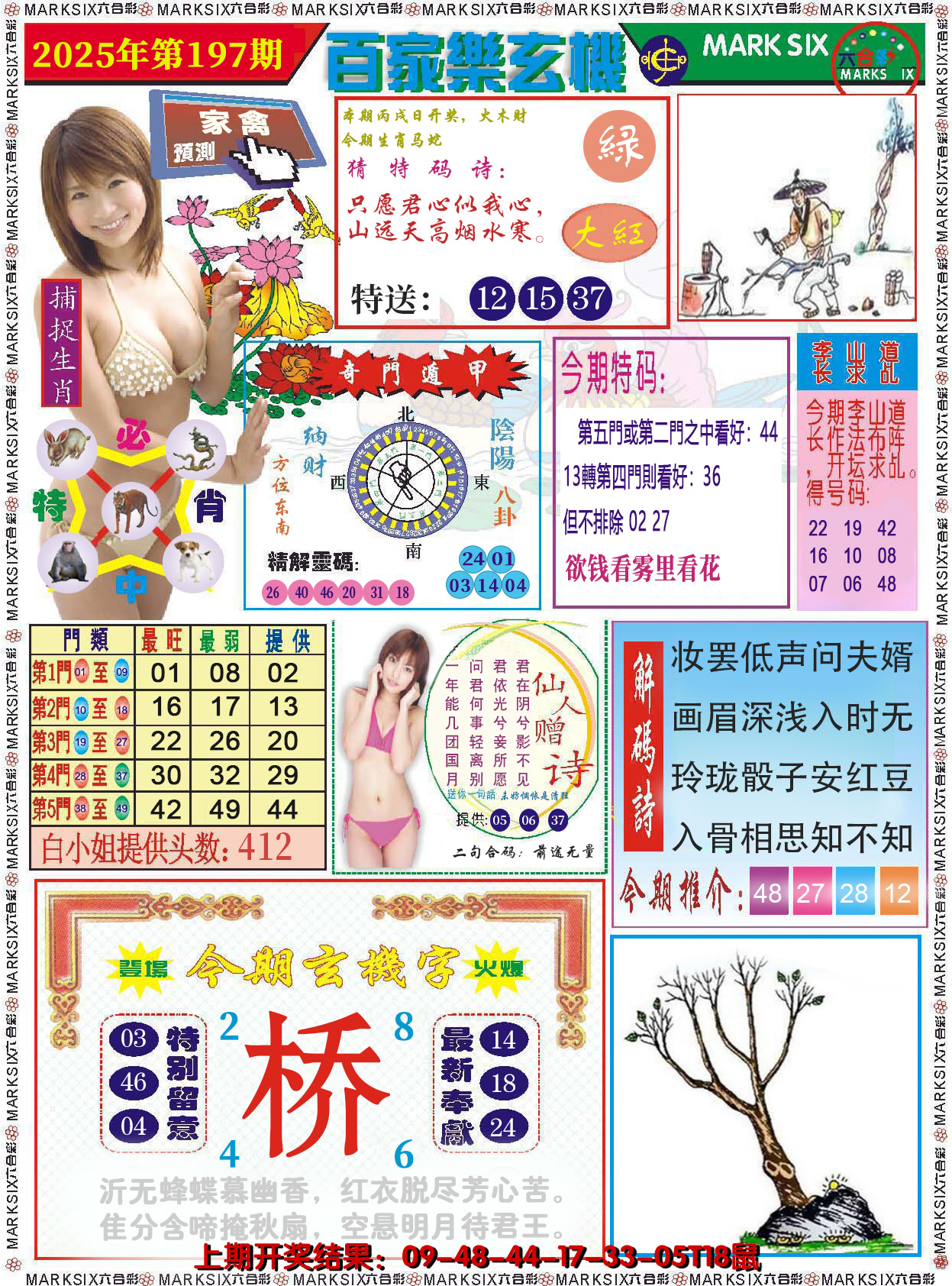图片加载中