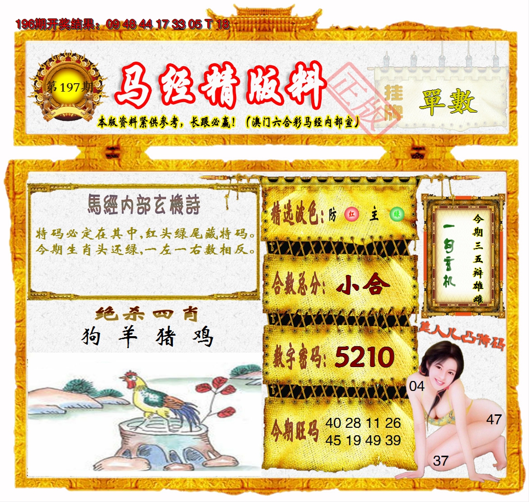图片加载中