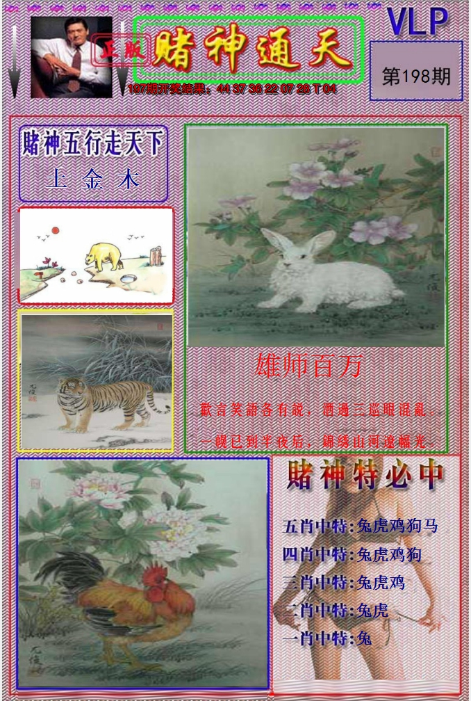 图片加载中