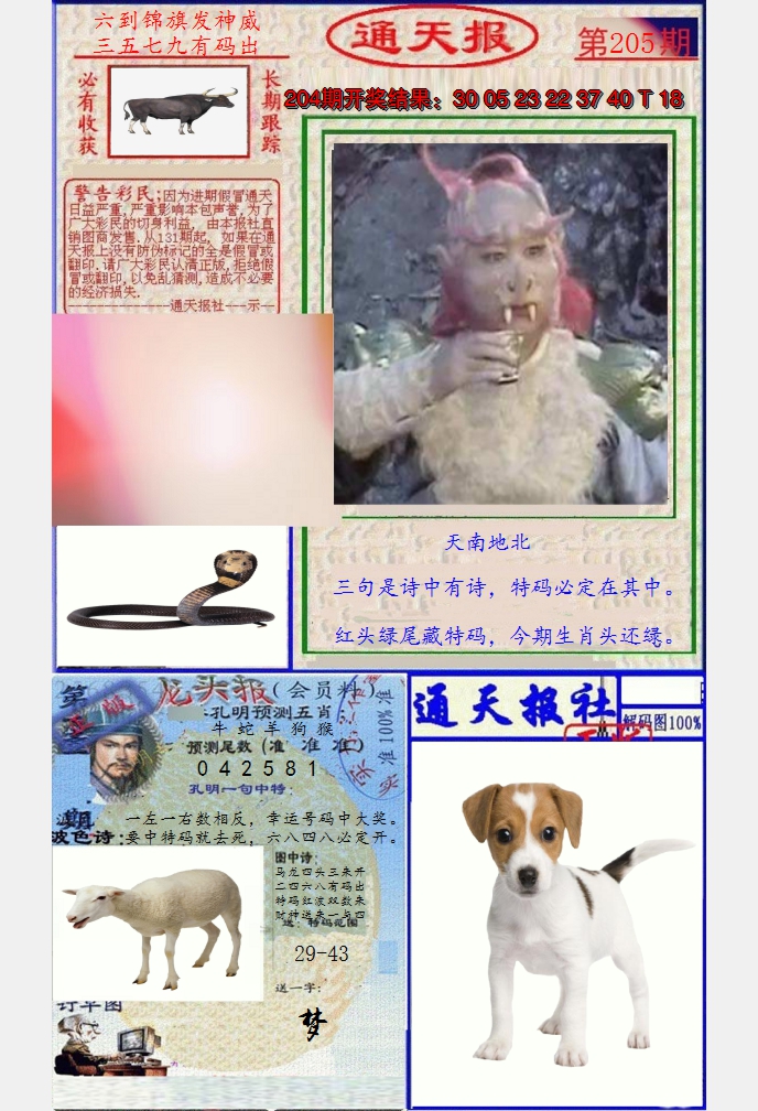 图片加载中