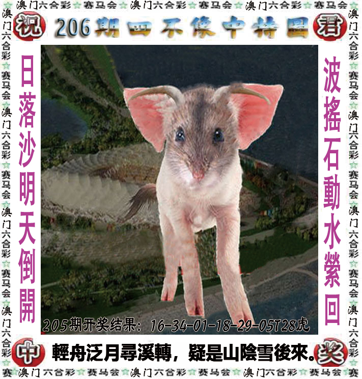 图片加载中