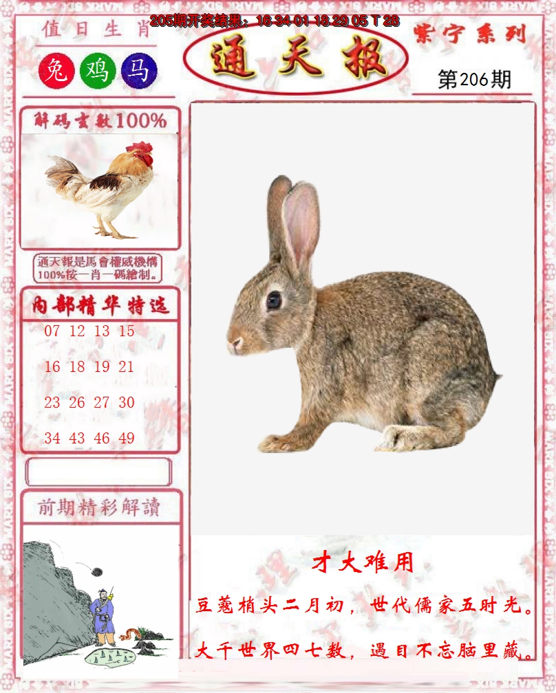 图片加载中