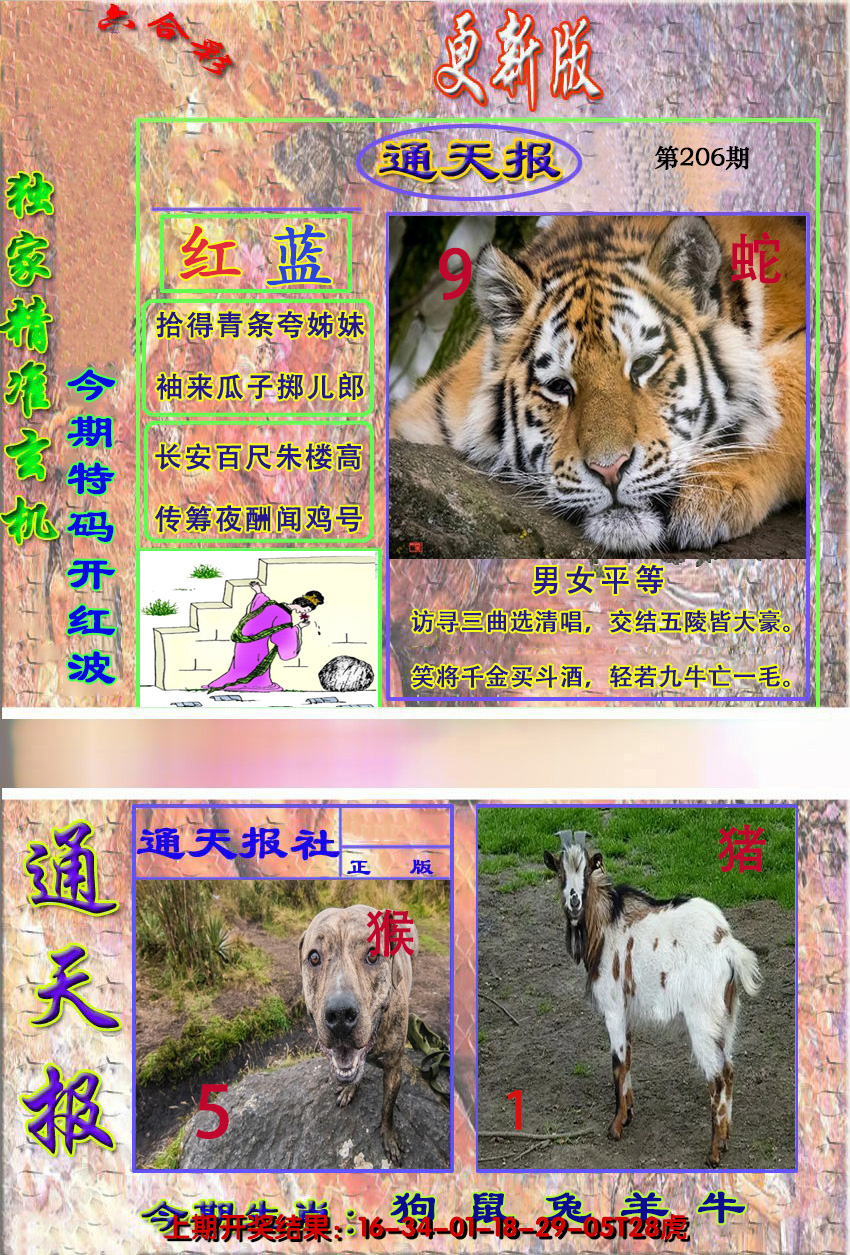 图片加载中