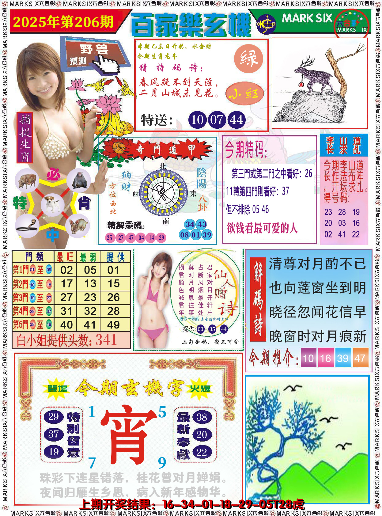 图片加载中