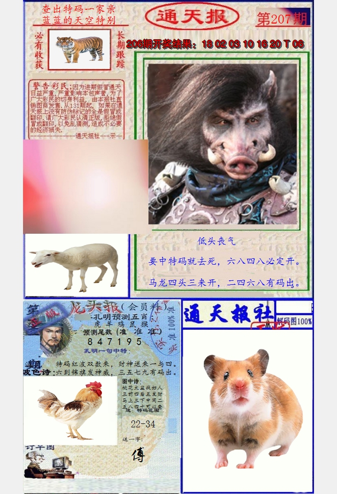 图片加载中