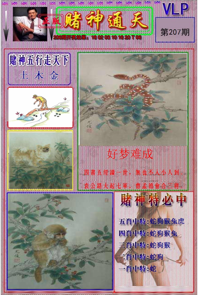 图片加载中