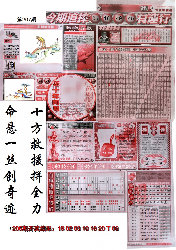 图片加载中