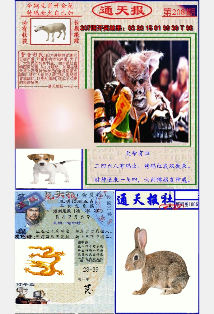 图片加载中