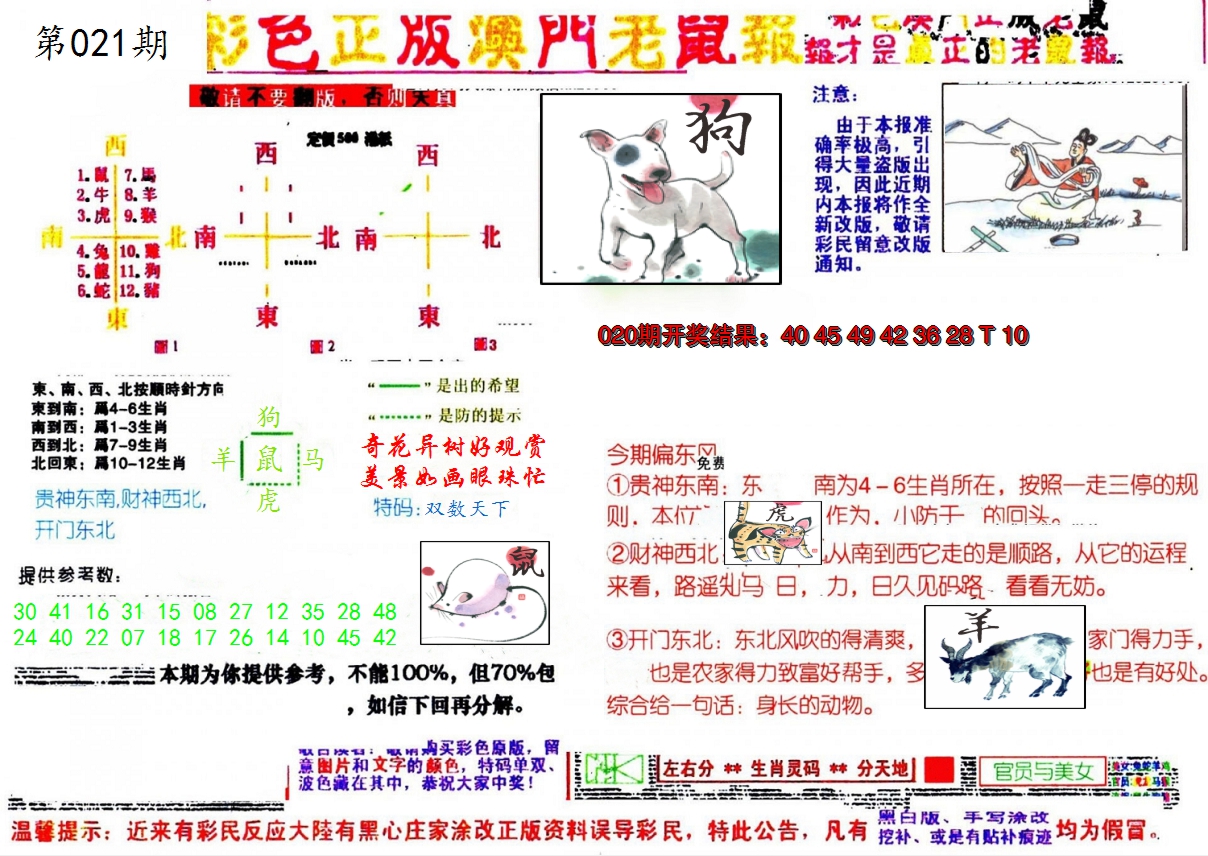 图片加载中