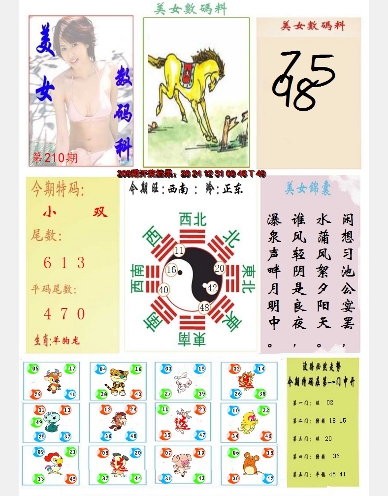 图片加载中