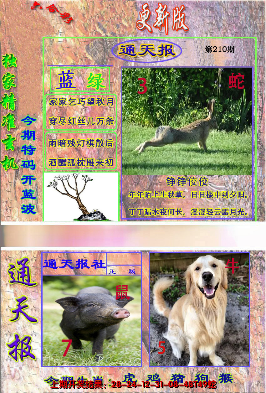 图片加载中