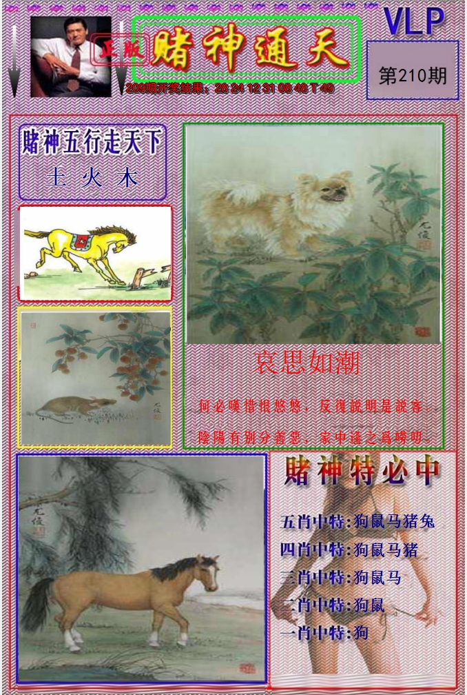图片加载中