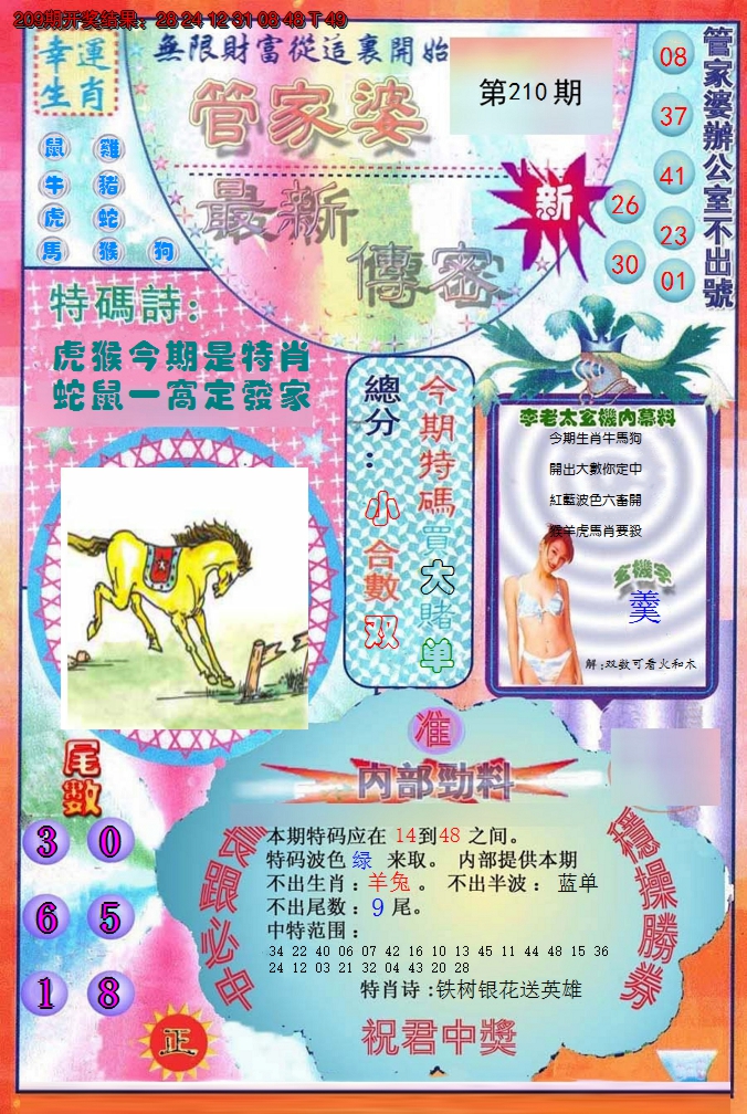 图片加载中