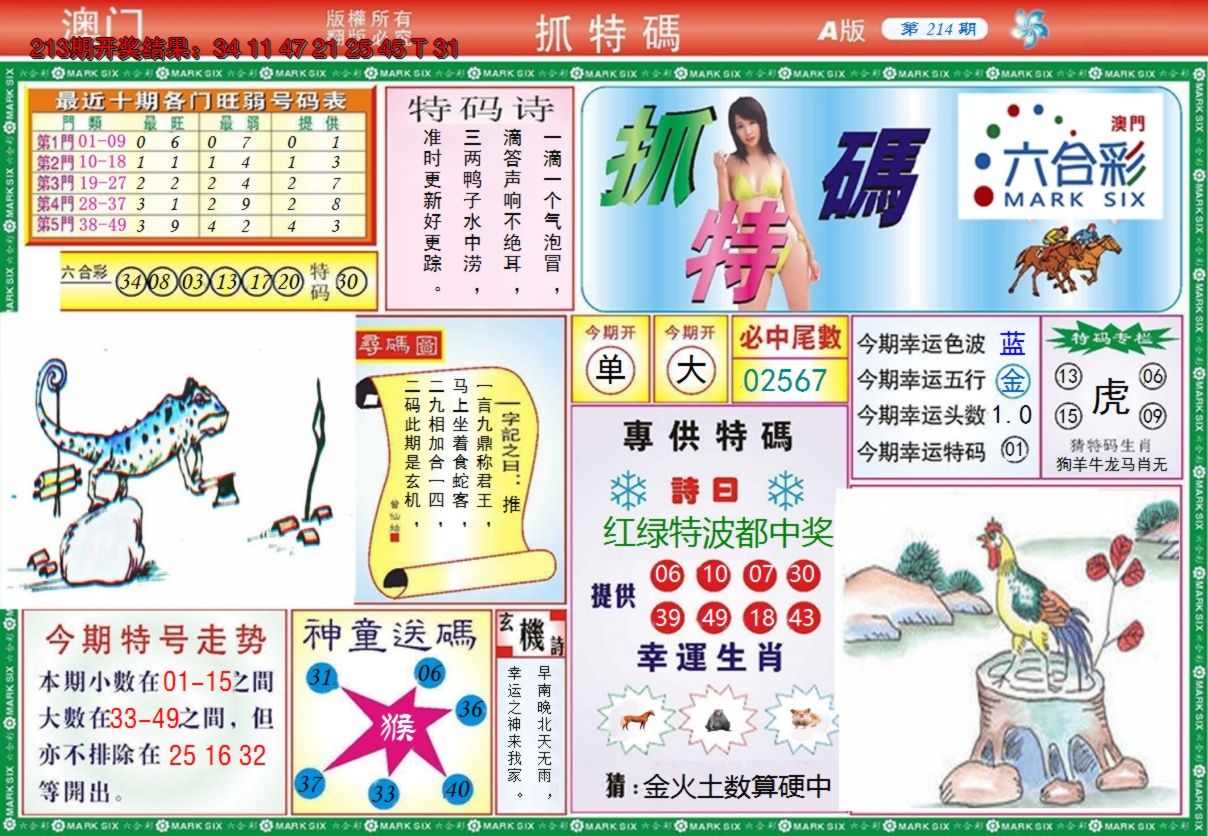 图片加载中