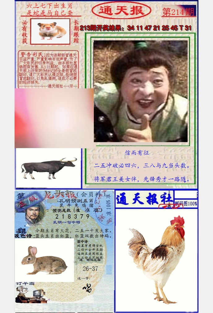 图片加载中