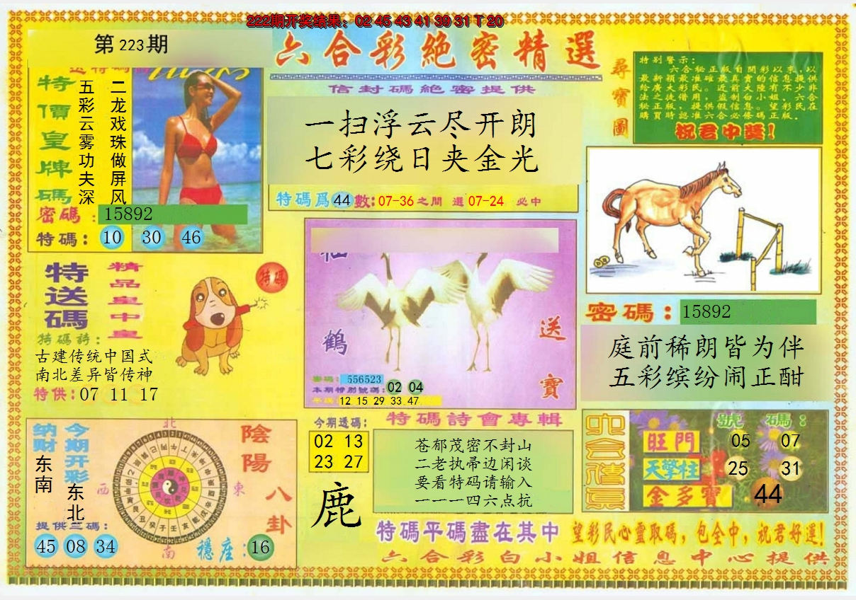 图片加载中