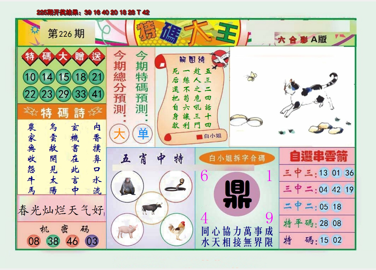 图片加载中