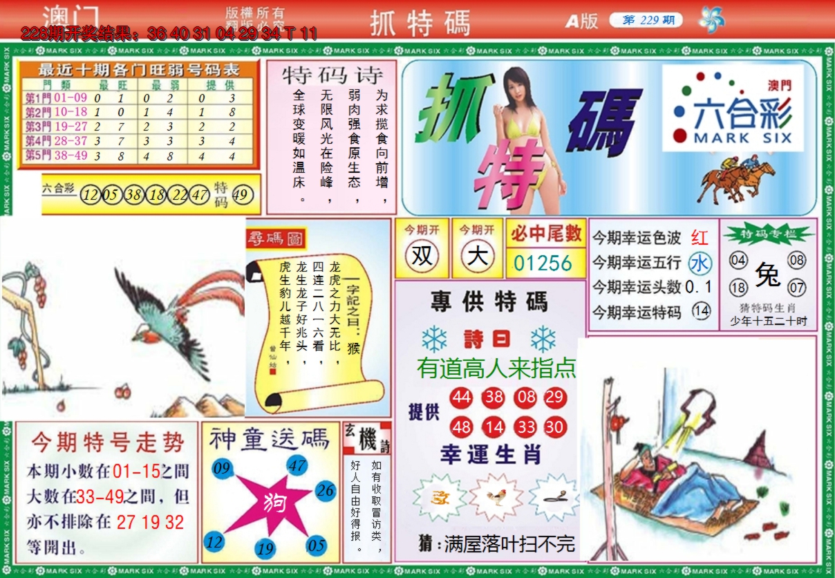 图片加载中
