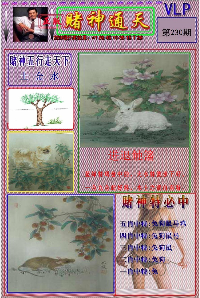 图片加载中